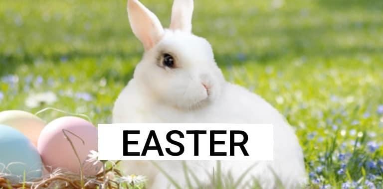 Easter amigurumi crochet patterns